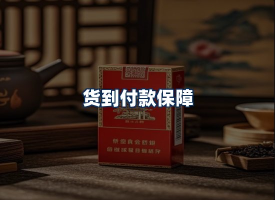 专业团队办公环境